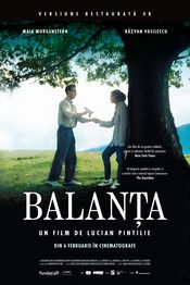 Balanța vezi online