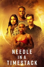 Needle in a Timestack vezi online