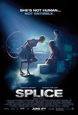 Splice - Hibrid