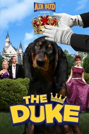 The Duke - Ducele vezi online