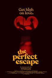 The Perfect Escape vezi online