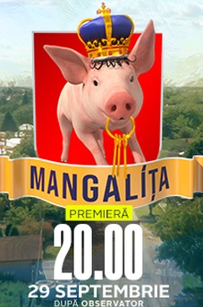 Mangalița vezi online