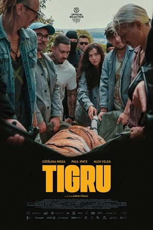Tigru vezi online