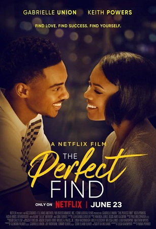 The Perfect Find vezi online