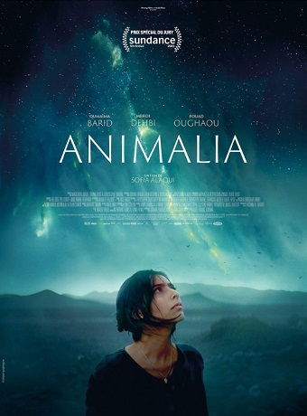Animalia vezi online