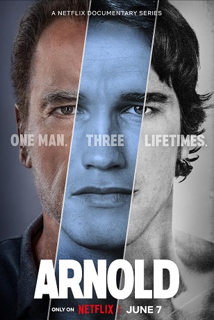 Arnold vezi online