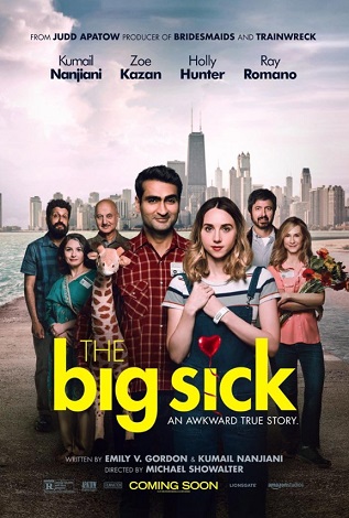 The Big Sick vezi online
