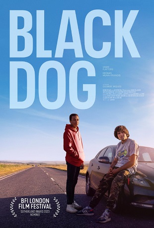 Black Dog vezi online