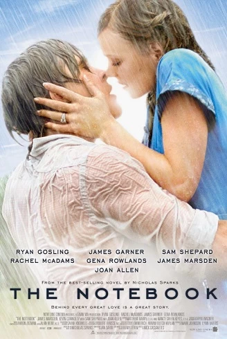 The Notebook – Jurnalul vezi online
