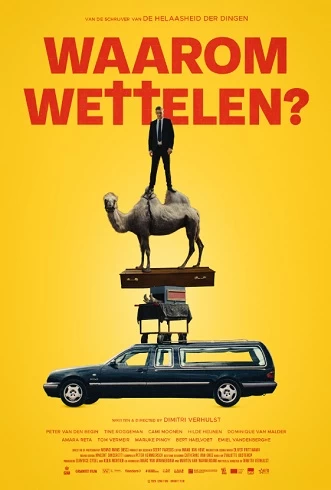 Waarom Wettelen vezi online