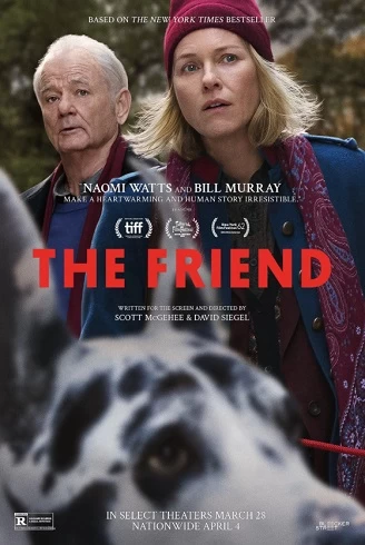 The Friend - Prietenul vezi online