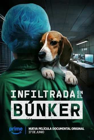 Infiltrată în buncăr vezi online