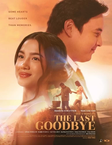The Last Goodbye vezi online