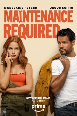 Maintenance Required vezi online